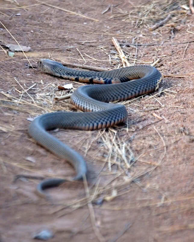 AJBentleyUK's tweet photo. And off Malin goes... 
#LoveIsland ✋🏼 https://t.co/lxSDX74CVs
