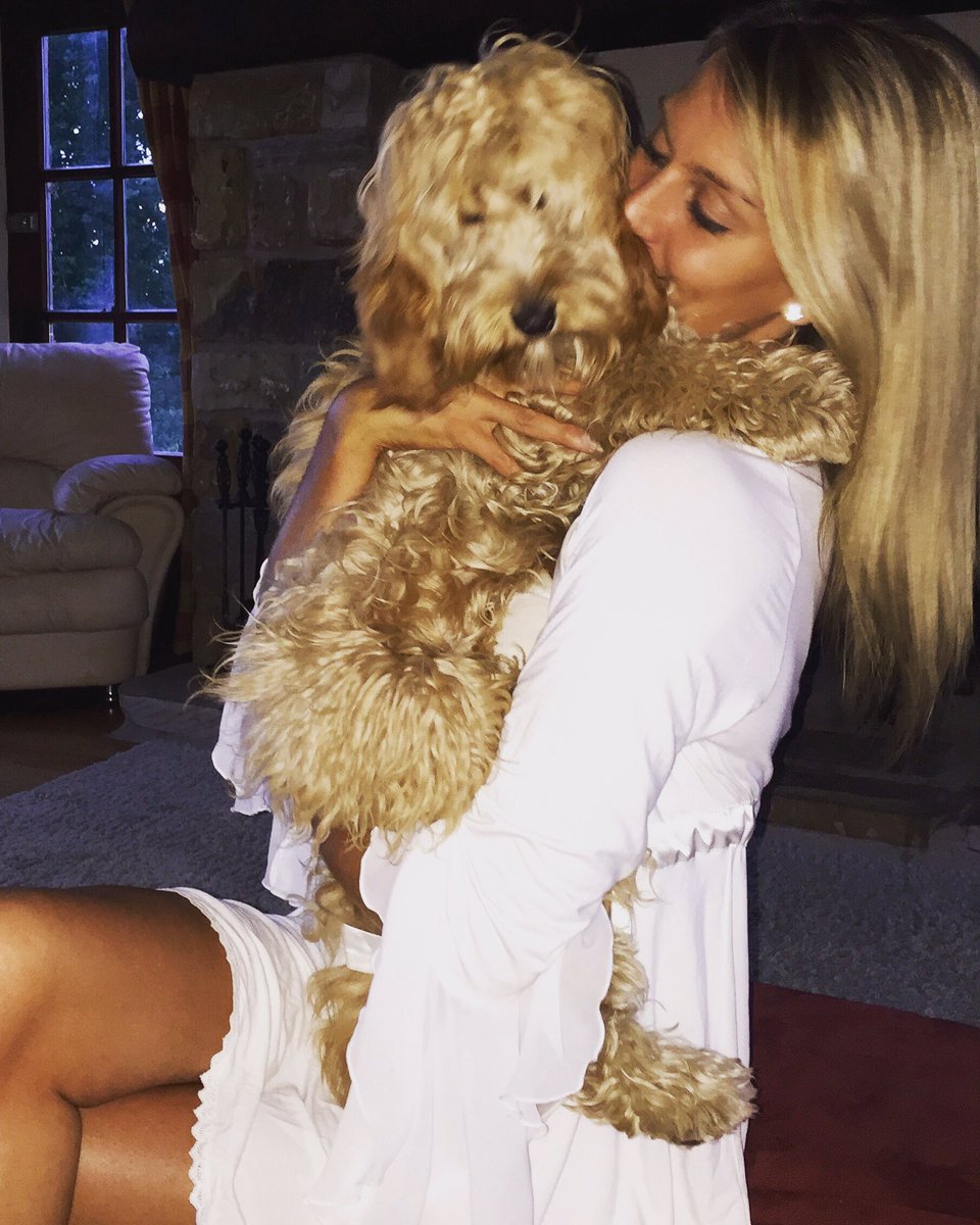 Mid week Molly snuggles <a href="/CockapooPlace/">Cockapoo Place</a> #molly #cockapoopup #love
