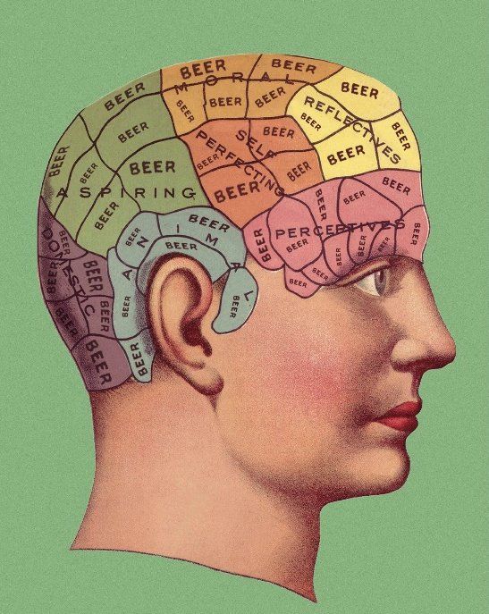 CampusPub's tweet image. Just as we suspected!