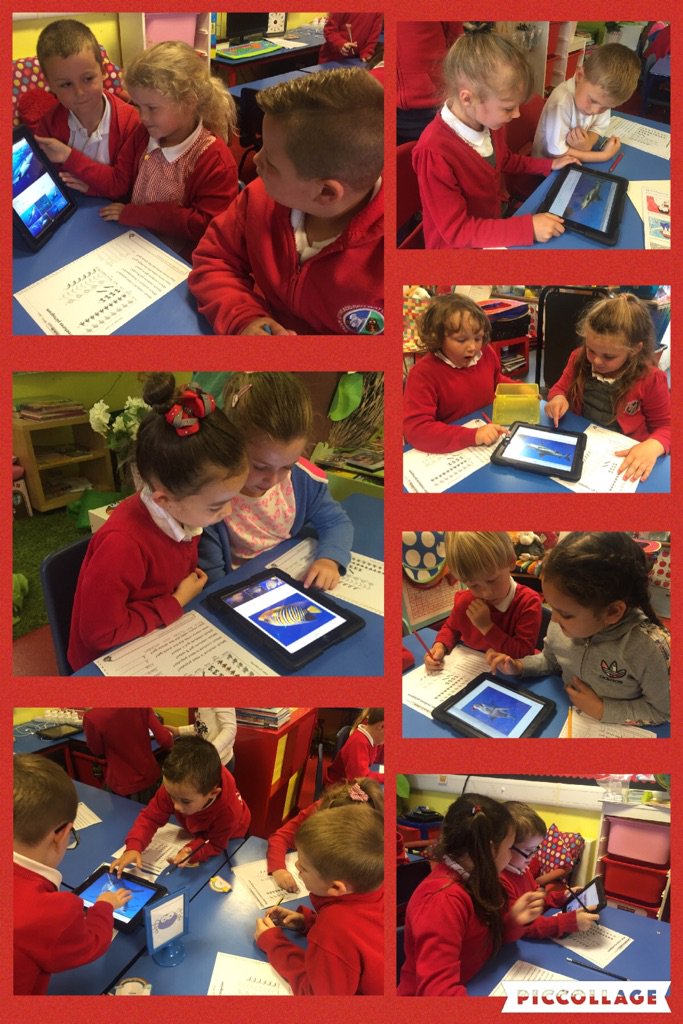 HalfwayYearTwo's tweet image. We had a great morning searching for information on animals  #handlingdata #independentlearning