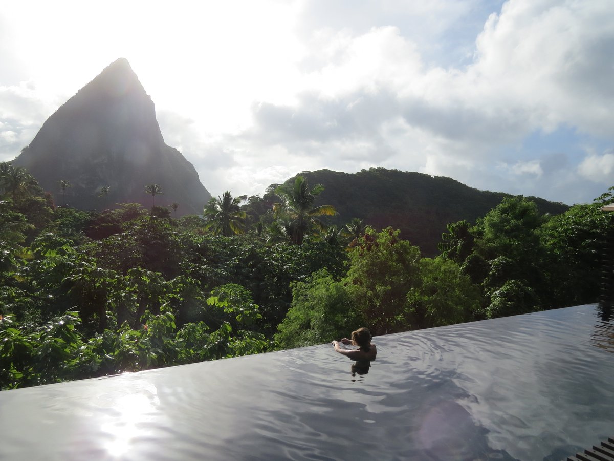 Wild Terrains tweet media