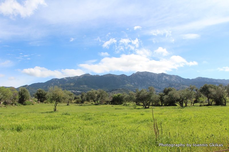 DiscoveringKos's tweet photo. Near #Zipari on the island of #Kos in #Greece https://t.co/wmBJ30NLr3