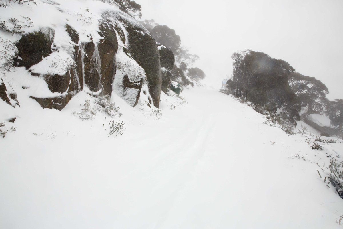 ThredboResort's tweet photo. It's piling up nicely up top with strong winds and snow showers continuing throughout the day! https://t.co/H8hPG8P7qW