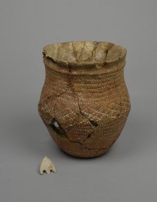 Katie Hobbs tweet media