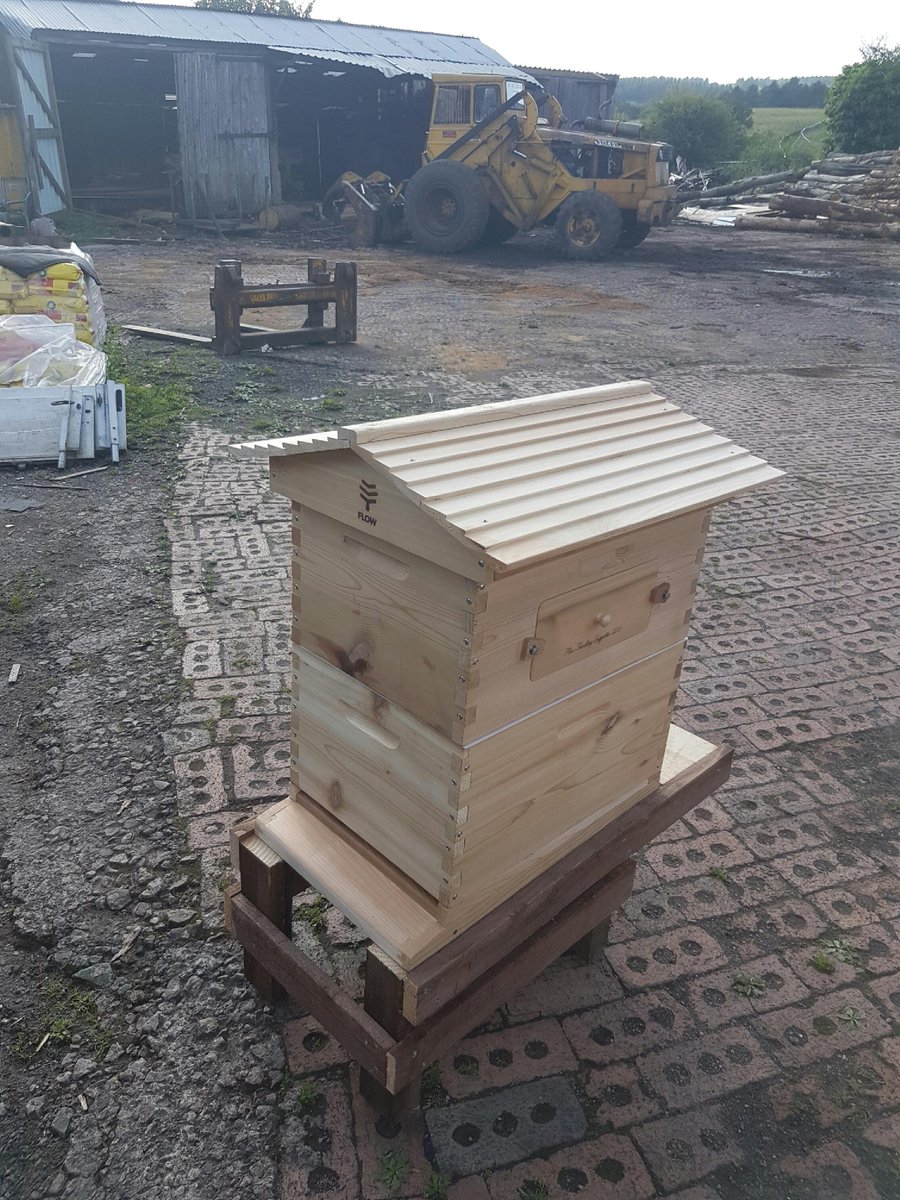 Calm_Connection's tweet image. so excited with our new bee hive!! just need some bees now.....
