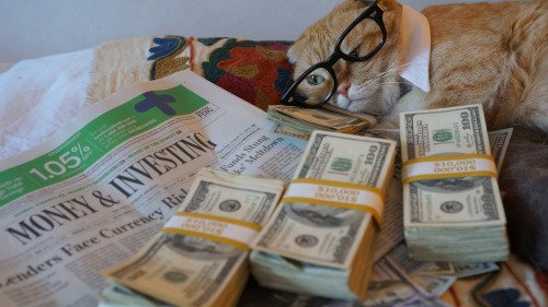 purrivilege's tweet image. it's hard work being rich