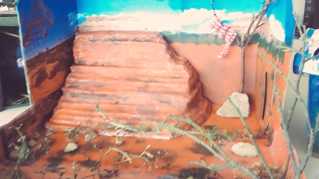 UCGSGeo's tweet photo. Fantastic mesa in a box from year 8! inspired by
@SteveBackshall doco! https://t.co/NutEgz1c0a