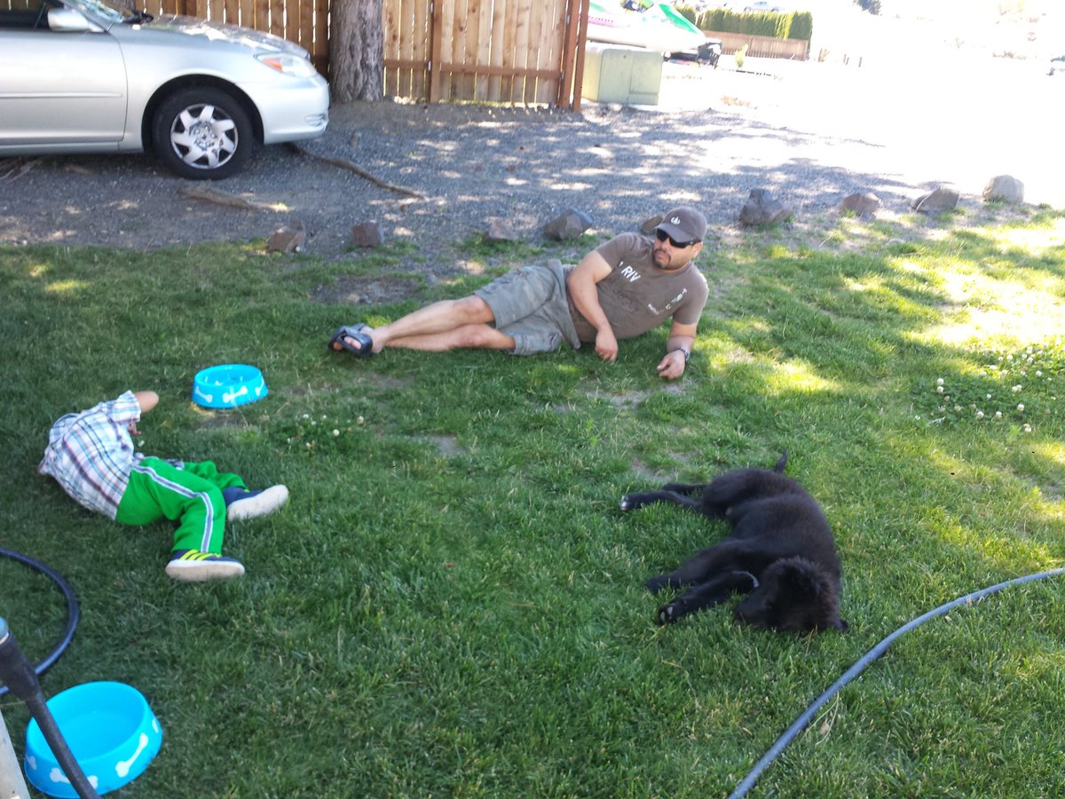 WarriorMomRios's tweet photo. All my boyz chilling at grandmas
#chillaxing #boyz #newfie #newfoundland #myboys #shade #lazy https://t.co/vHzcib8vTE