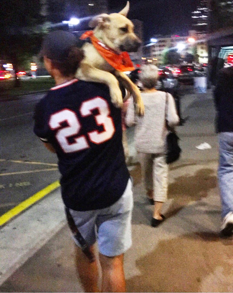 _Champpp's tweet image. Lookin like a proud dog dad last night👨🏻🐶