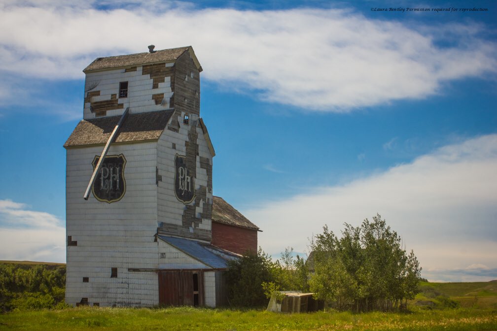 A couple better shots of #abandonedalberta #ghosttown #Sharples #explorealberta bird box made me smile 🌞