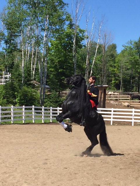TheLaurentians's tweet photo. Cavaland ! Frisons dressage !https://t.co/ZM7H0hvXu6
Ouverture du Parc equestre le 2 Juillet #cavaland #cheval https://t.co/UoaQ3hHkf3