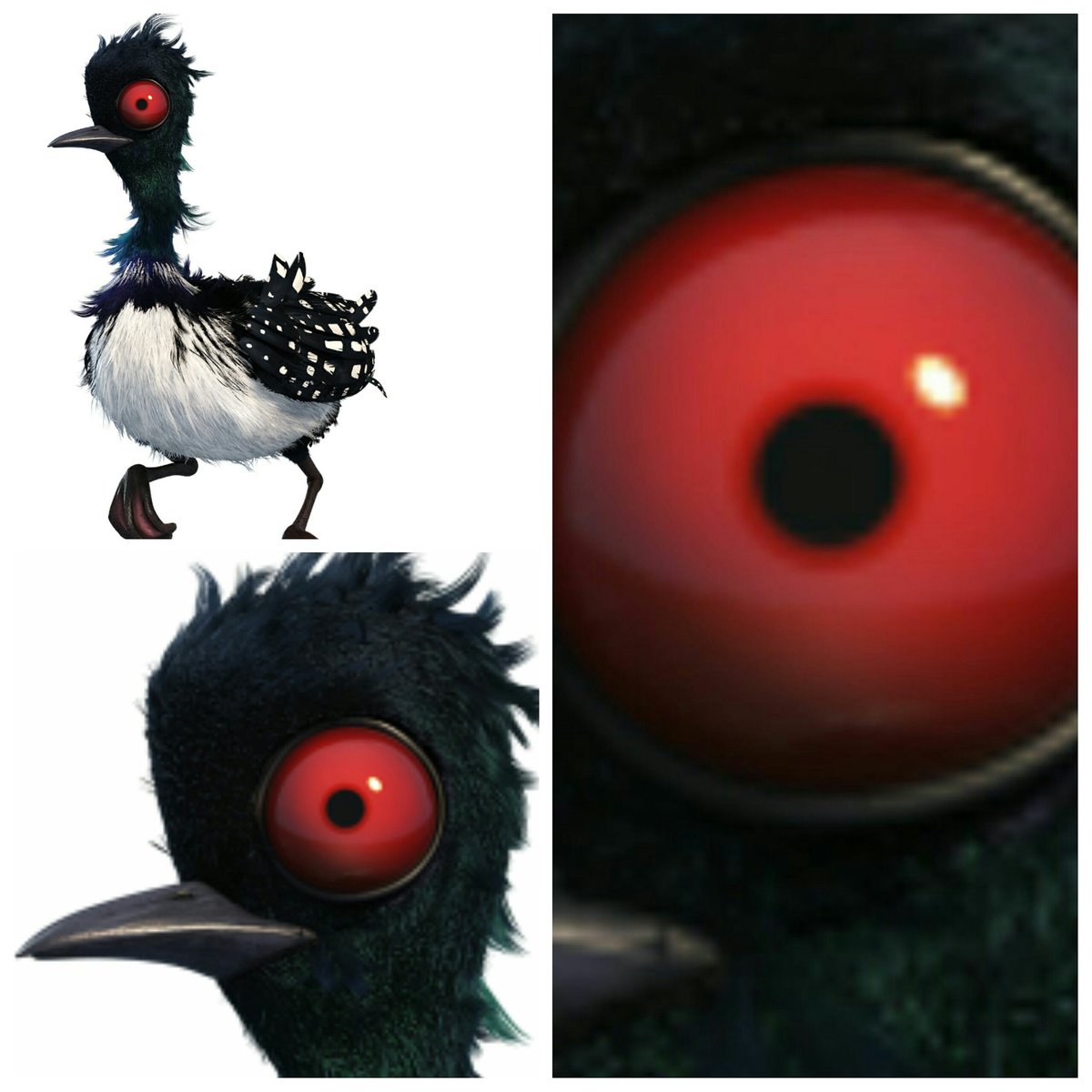 LoveminatiMedia's tweet image. Only the real understands how funny this picture is (A Rooooooo Roooooo) #Becky #FindingDory.....#nofeelings 😂😂😂😂