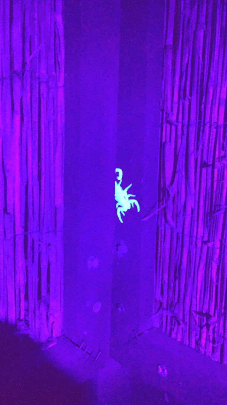 TW Pornstars - Shaye Rivers 💕 Free OF!. Twitter. Oh hell no. Whyyyyyyyyyyyyyy ?. 4:19 AM - 23