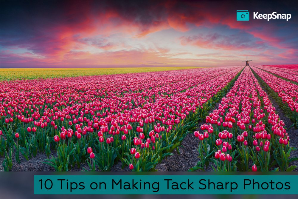 Your #photos coming out too soft? Dig these 10 tips to achieve perfect image #sharpness: keepsnap.com/blog/post/how-…
