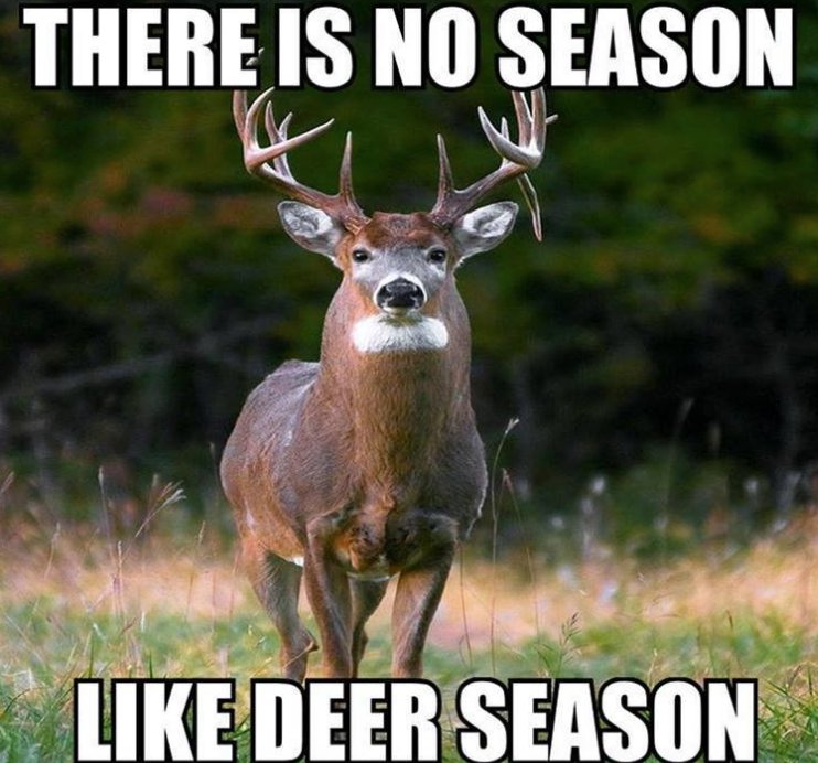 Deer Hunting. 