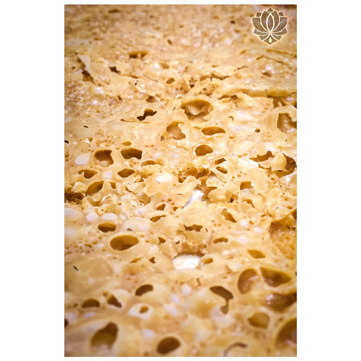 We have some amazing collaboration  extraction coming at you from <a href="/thevirginiaco/">The Virginia Company</a> they are bringing the heat🔥🔥🔥 #i502