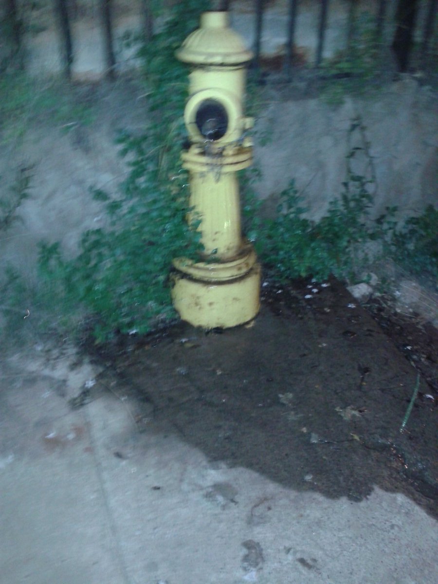 camila_muena's tweet photo. Grifo con filtración en Calle Valdivia con Puerto Montt, población tranque sur forestal, viña del mar @esval_chile https://t.co/jzByEyBO6S