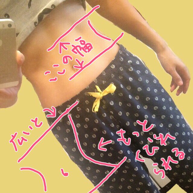 まつたけ V Twitter 東洋人体型は 骨盤と肋骨の間が 狭く 体の厚みが 薄いそうですヨ 西洋人体型は 逆で 広くて厚い