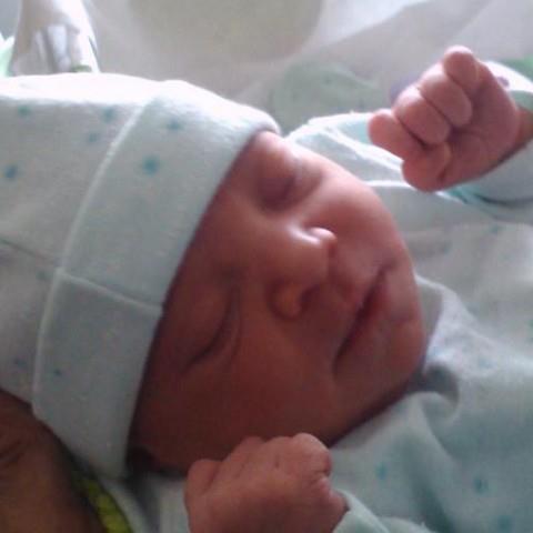 Alejandra Meza tweet media