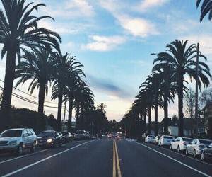 adventurful's tweet photo. I'd rather be in LA 😍🌴 https://t.co/tcq3KVAYBe
