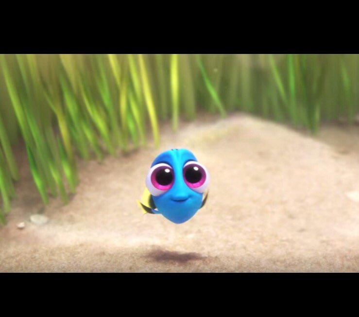 Kinda my obsession rite now