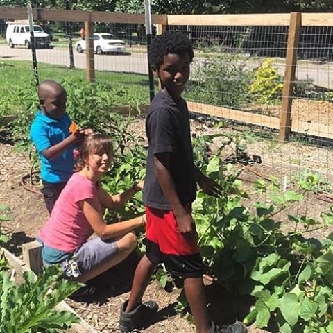 FoodShuttle's tweet photo. School is out - and Camden Street Learning Garden is in...so Sam & Nasir are growing cucumbers! #foodshuttlegrows https://t.co/SzYSFcNAI0