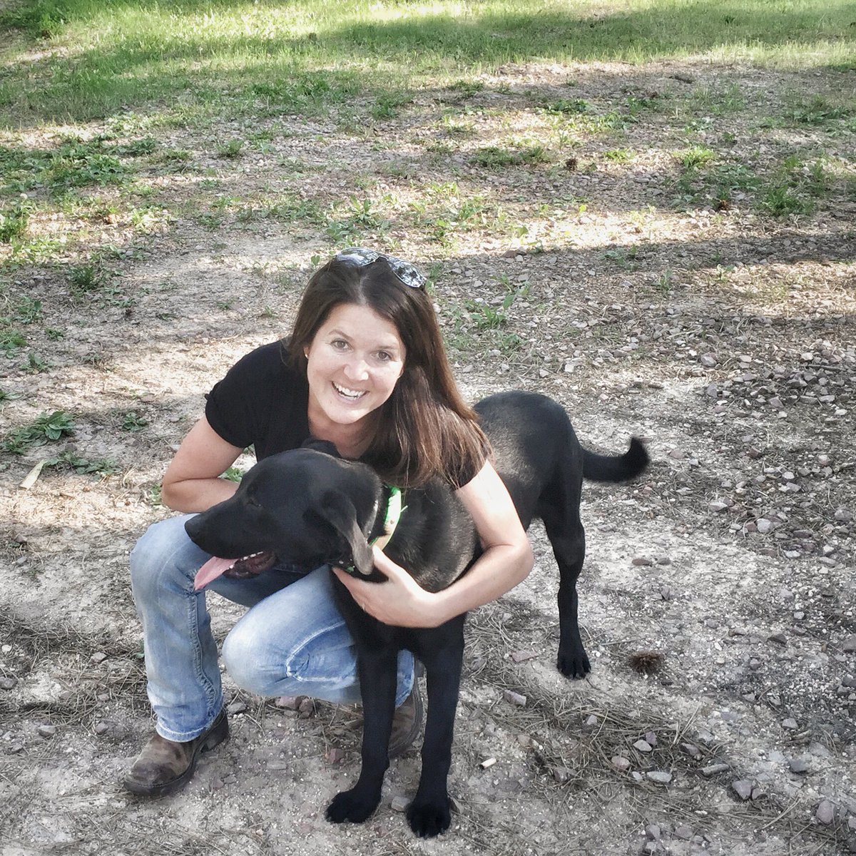 FromtheDraw's tweet photo. I can't wait to take him pheasant hunting this fall! My little Bravo. #pointinglab https://t.co/FfedJ0X3vb