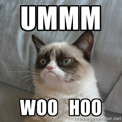 Gratuit Images 95 5 Klosfm On Twitter This Is Not A Cat Meme All Requests actualisé salutations