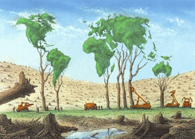 Ecogranjero's tweet photo. si la destrucción forestal continúa al ritmo actual, habremos terminado con los bosques tropicales para el año 2050 https://t.co/7JSJfs2aw9