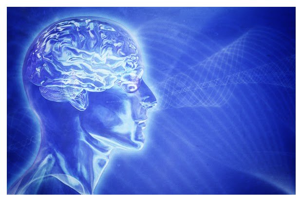 BobDeMarco's tweet photo. “How to Understand the Difference Between #Dementia and #Alzheimer's Disease
https://t.co/5aL7P5Uj30 https://t.co/2HcTPbwkh3