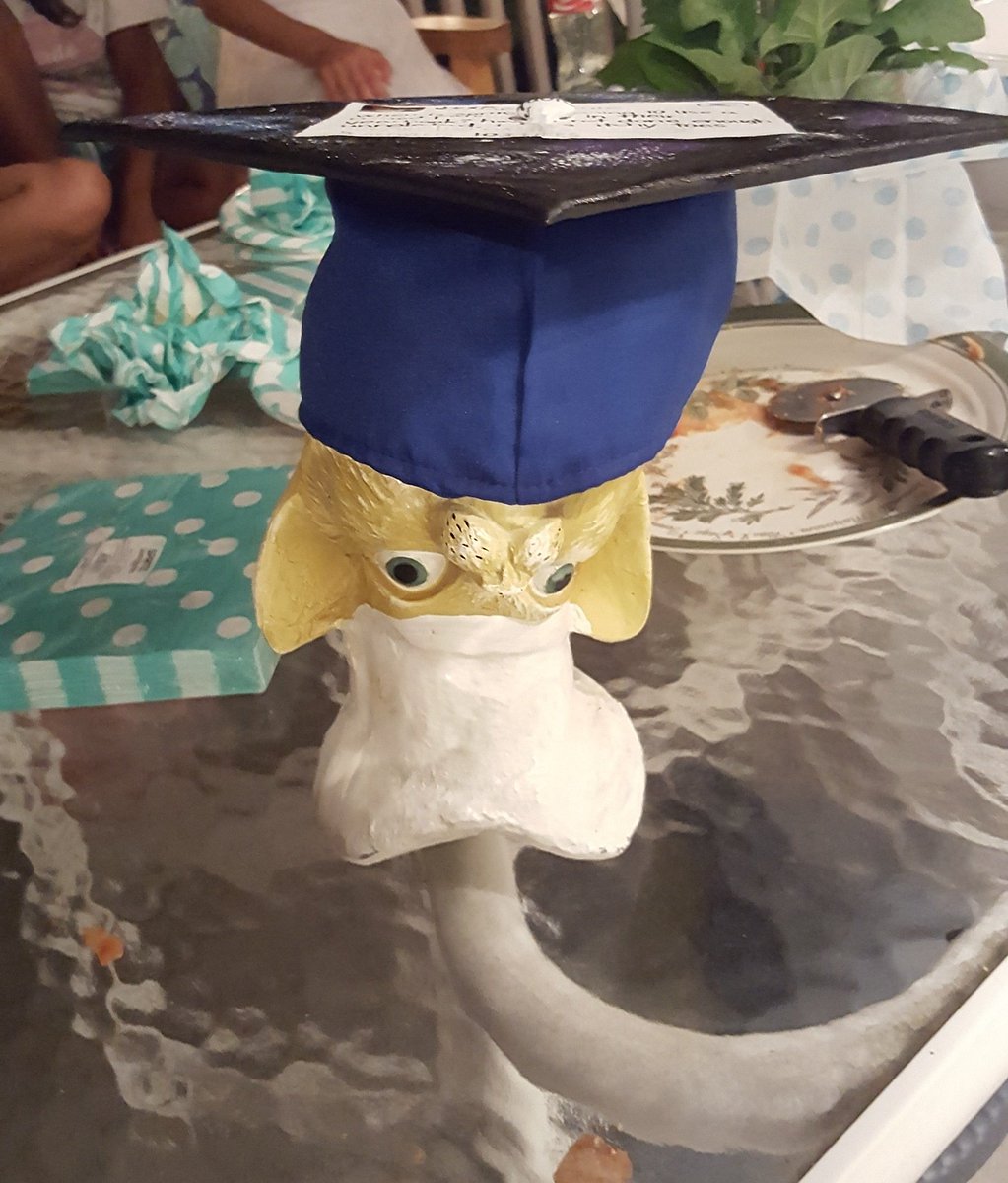 ItsYaBoiSmarf's tweet photo. Parents graduate, me gradulating too! 

C🖕ass of 20🖕6 !! https://t.co/PuvDFD0RdQ