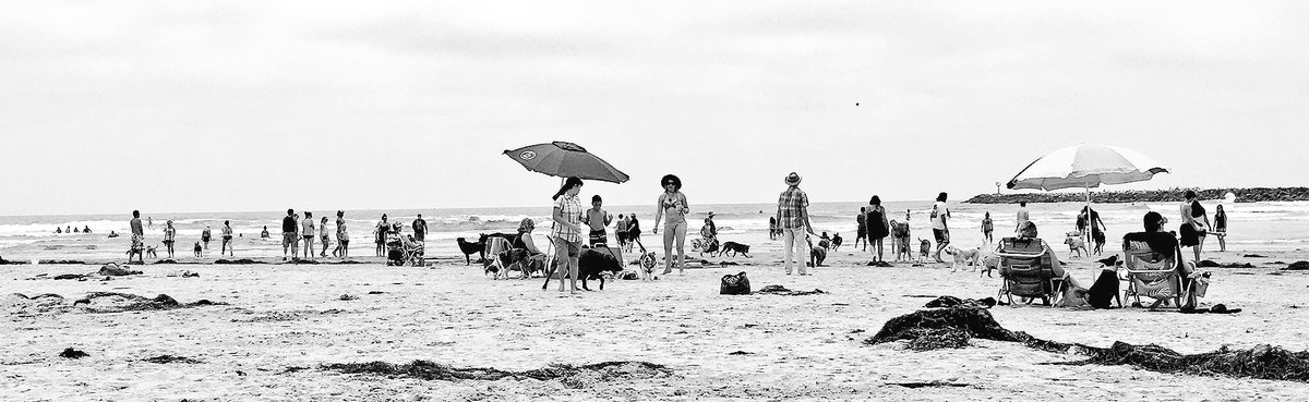 loving all these #ViewsFromTheConvention #KKGSanDiego