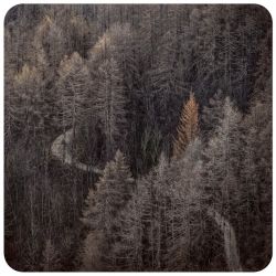 EpsonAust's tweet image. Be inspired by this year's @NZIPPhoto 2016 winning photographs: infocus.org.nz/2016-winners