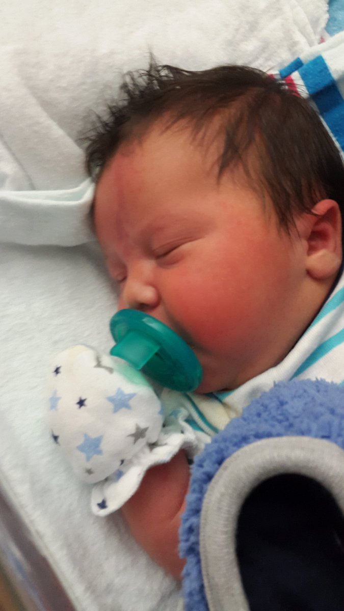 Mayelf7's tweet image. Always so calm!