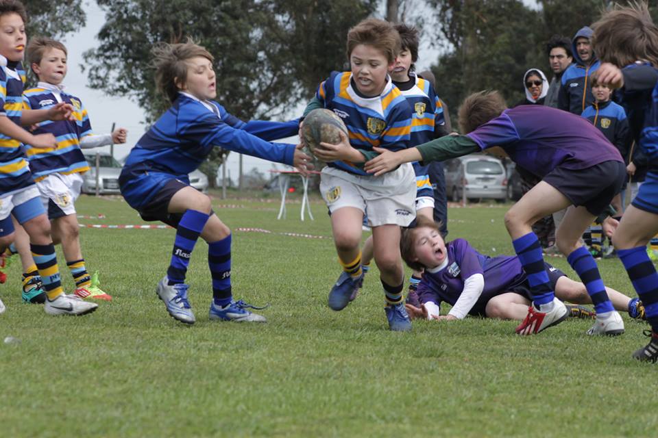 #InfantilesAlbano Encuentro con <a href="/ChascomusRugby/">Atl. Chascomus-Rugby</a> @CvjrVarela @gyerugby y <a href="/RugbyDonBosco/">Don Bosco Rugby</a> clubsanalbano.com/noticias/rugby…