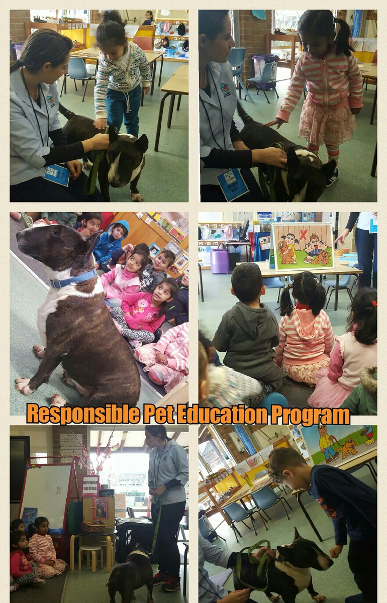 Des_Georgiou's tweet photo. Preschool learning about staying safe around dogs. NSW State Government Program #nswresponsiblepeteducationprogram https://t.co/JS5bwoFZZm