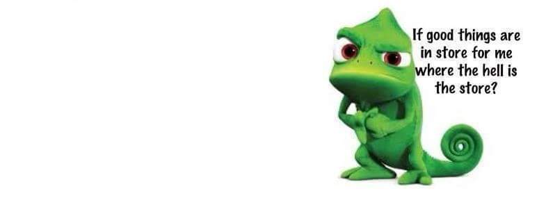 +60 10-661 2067 tweet media