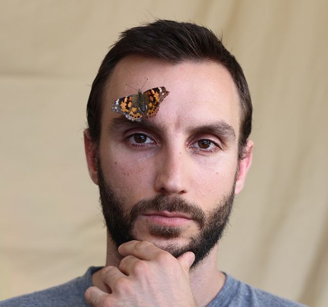 LakeCop's tweet image. #brentano #butterflies #ladyboners #animals #animalactor #modeling #animalrights #mystery  📷: @brentano1