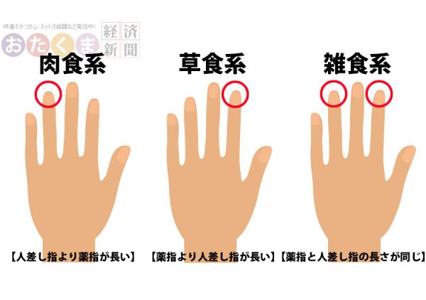 ライブドアニュース V Twitter チェック 指の長さで草食系か肉食系かわかる Facebookで話題の診断 T Co Ca2zw0fsur 母親のお腹の中で男性ホルモンを多く浴びた人は薬指が長くなり 肉食系の特徴を発現しちゃうんだとか ライブドアニュース V Twitter チェック 指の長さで草食系か肉食系かわかる Facebookで話題の診断 T Co Ca2zw0fsur 母親のお腹の中で男性ホルモンを多く浴びた人は薬指が長くなり 肉食系の特徴を発現しちゃうんだとか