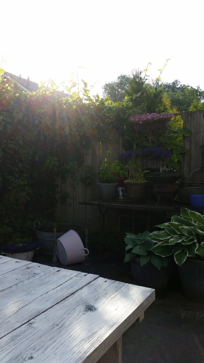 siko1970's tweet photo. Heerlijk wakker worden zo! #zon #rust #vogeltjesfluiten #koffie #genieten https://t.co/ko8fP3NH0p