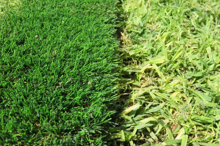 AGCofCA's tweet photo. What Will You Do WIth Artificial Grass https://t.co/AwQTK2WNIE #usedturf #sports #realestate https://t.co/JQZ6qx9azR
