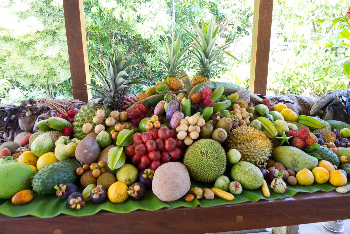 Выращиваем экзотические фрукты. Тропические фрукты. Экзотические фрукты и овощи. Экзотические тропические фрукты. Экзотические овощи.