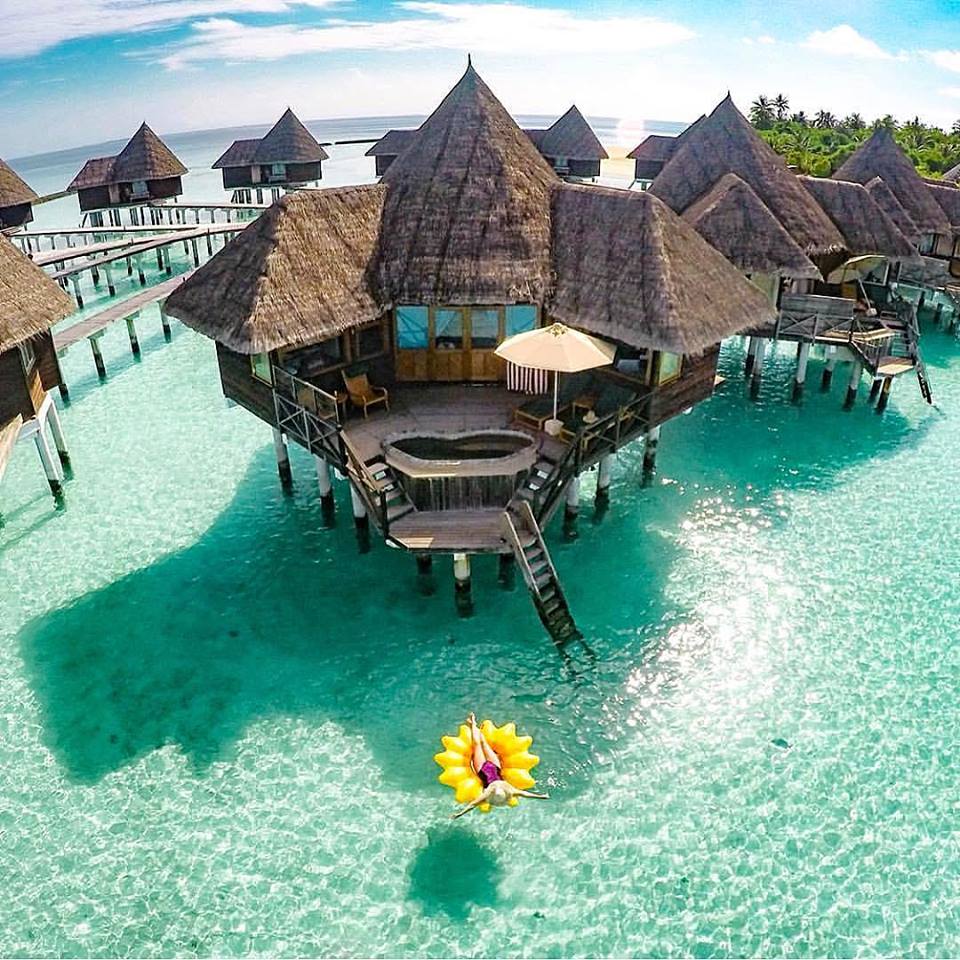 maldivedotcom's tweet photo. Imagine waking up here and relaxing in this beautiful island
For offers visit us at https://t.co/DCFxDlJ1o8 https://t.co/kQsZ2IAu8Z