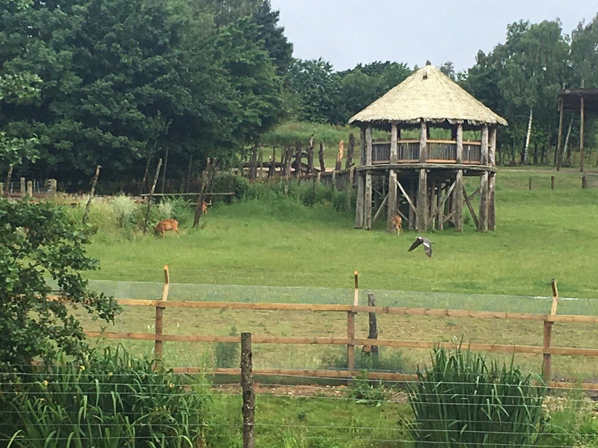 MrsCresswell01's tweet photo. #safarihotel #lotsofanimals #historytrip https://t.co/33A2uxYaSS