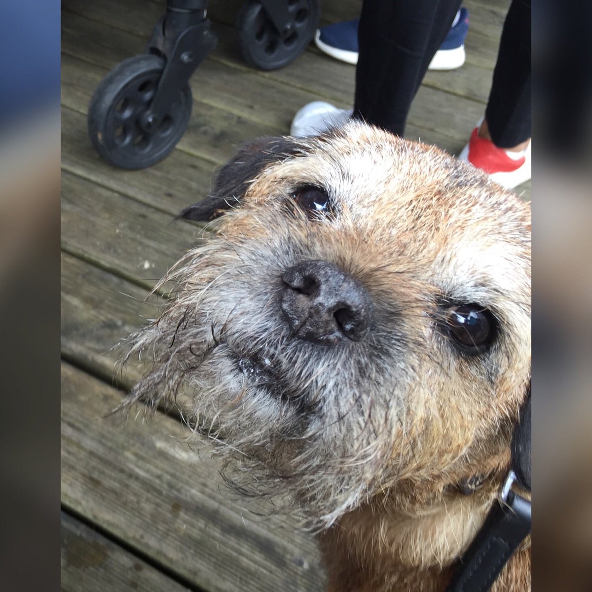 MrSebBT's tweet photo. Bon jour Twitta. Whatever happens keep a smile on your face #HappySeb. #BTPosse https://t.co/MQMP9zl875