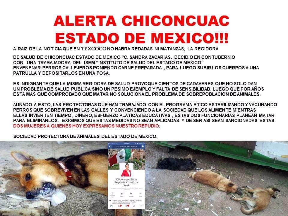 EXPOANIMALANDIA's tweet photo. @marcoregil https://t.co/ldsZroXn1W