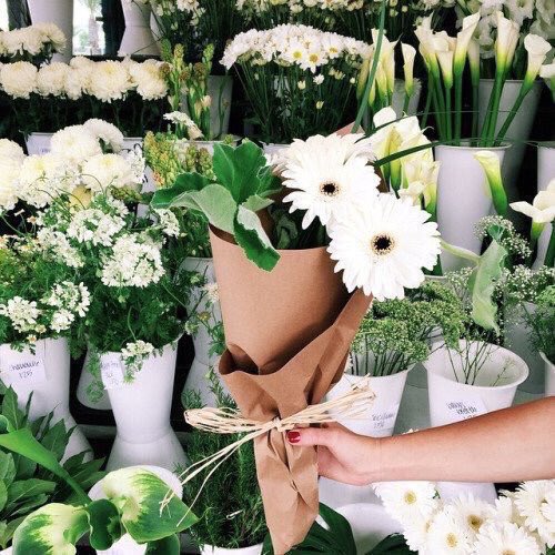 Pitcha_LaLa's tweet photo. ชอบการจัดดอกไม้แบบนี้อะ ดูอบอุ่น 💗💐 https://t.co/ZBSycW5c5E