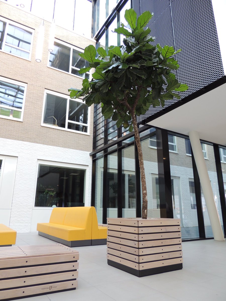 Een nieuw #interieur voor het Graafschap College Doetinchem. #tritop #interieurbouw #schoolinterieur