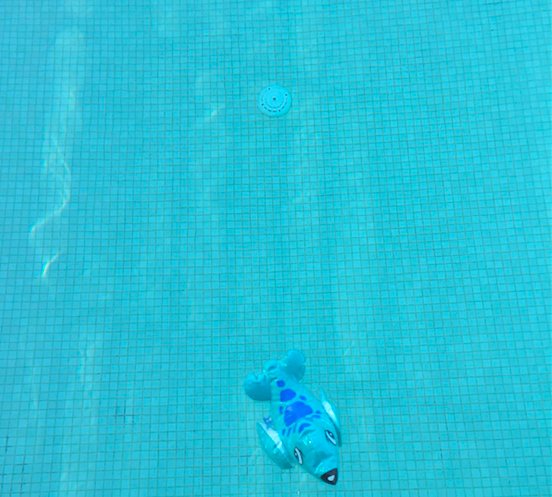 thecommbut's tweet photo. A lonely fish in the water? We help you find your friends. #wordsmiths #itsallaboutwhatyousay #thecommbut https://t.co/G9rJkwbCsZ