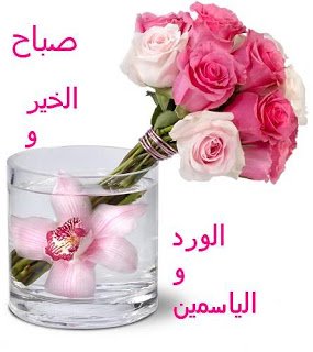 فﻻح الحكو الحكو (@falhalhmmani122) on Twitter photo 